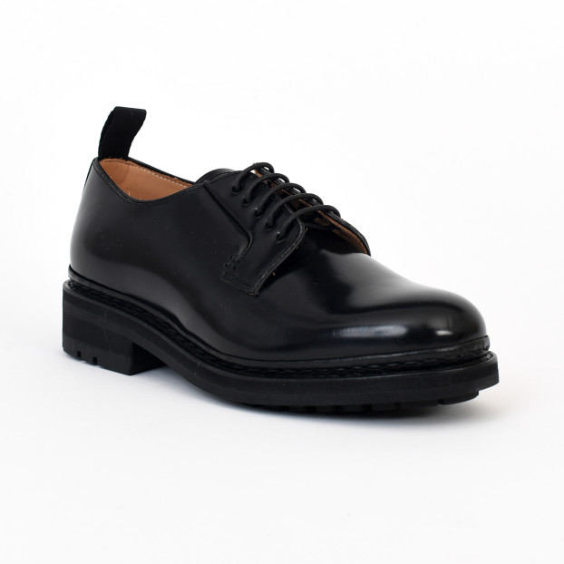 aronia noir