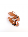 sandales à talons badra peach dali bronce chie mihara